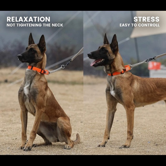 Training Collar - Picture 2 of 6